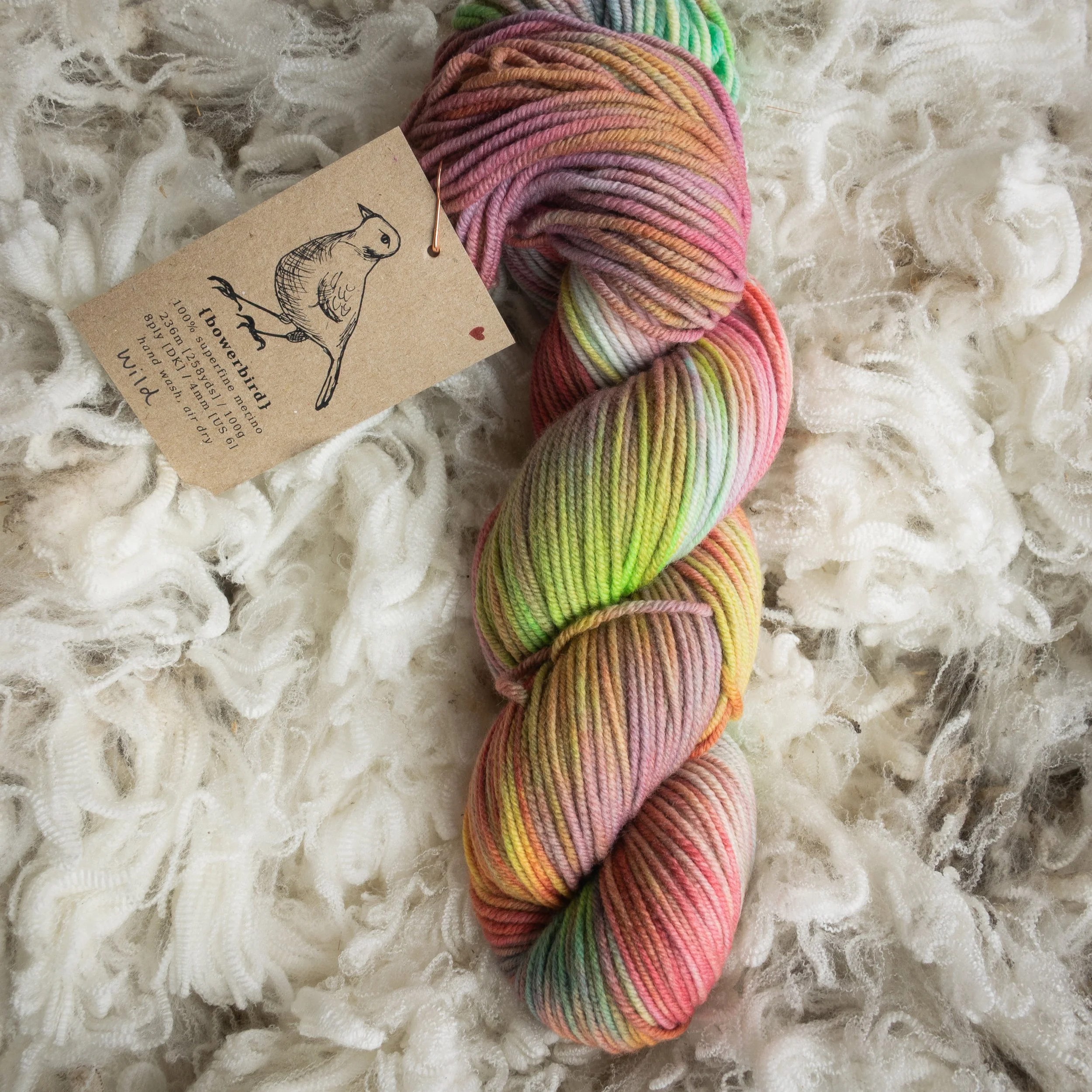 M-08-AUG-WLD (DSC04379) 2026 03.jpg