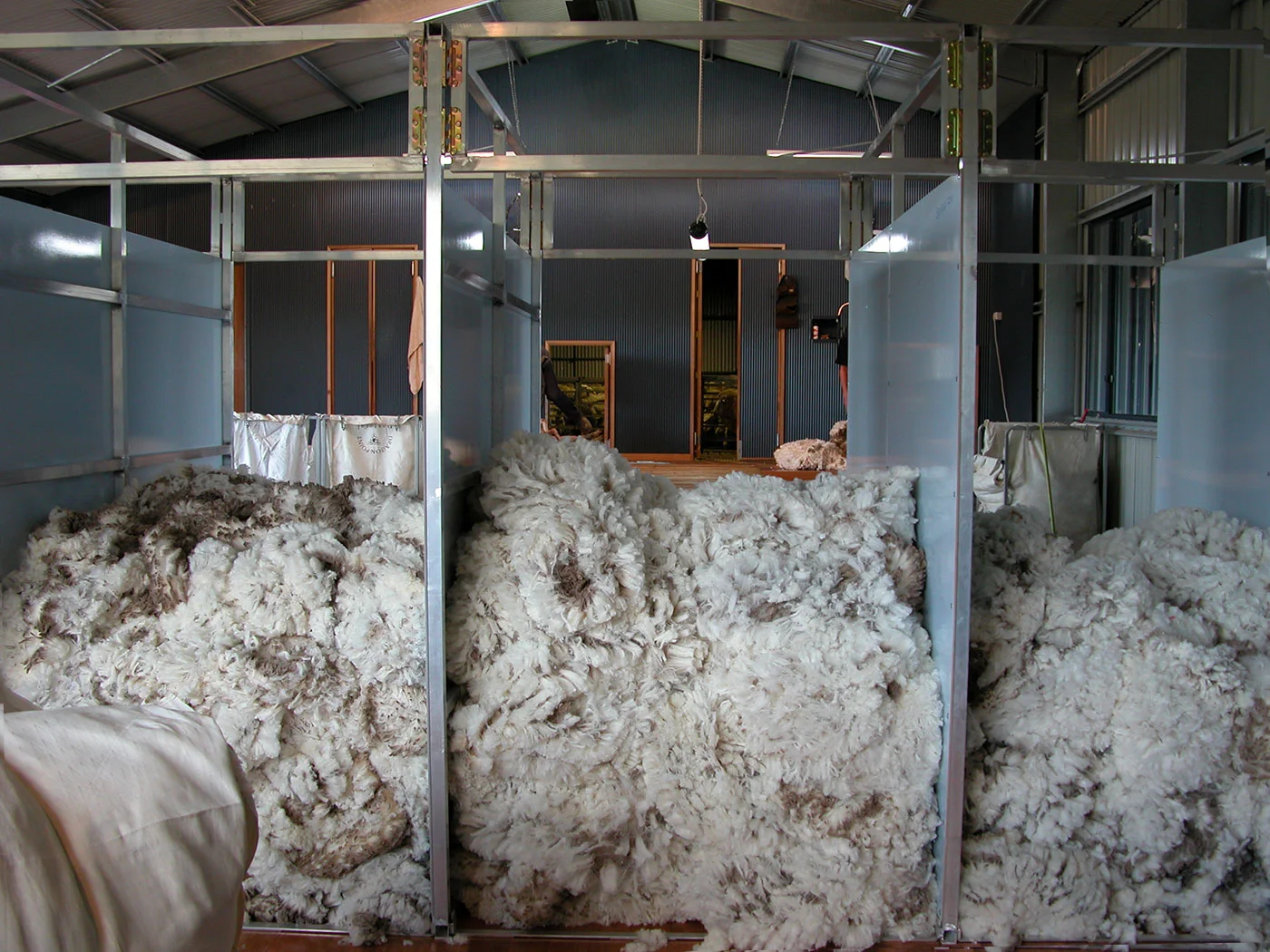theWool.jpg