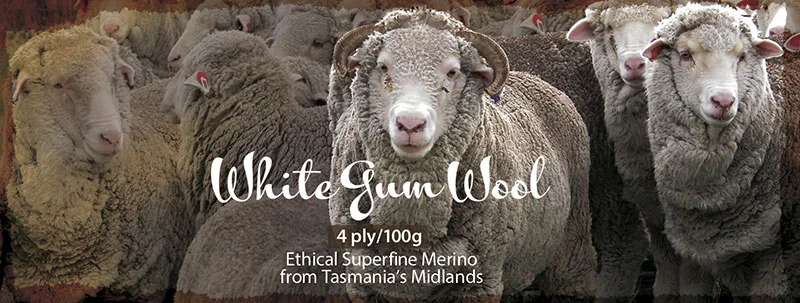 Alice  is the center sheep on the wool label—the one looking straight at the camera.&nbsp;Old Leader (aka  HRH ) is also on the wool label, the beautiful older face on the left, looking toward Alice.