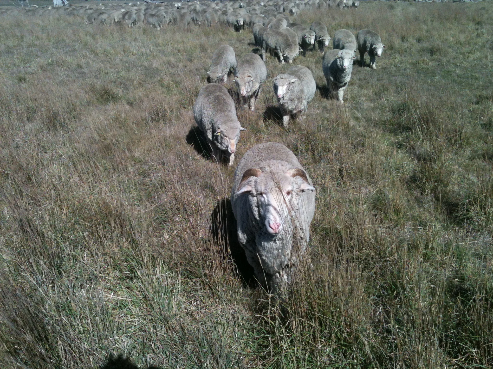 You Don't Sing that Note, Either