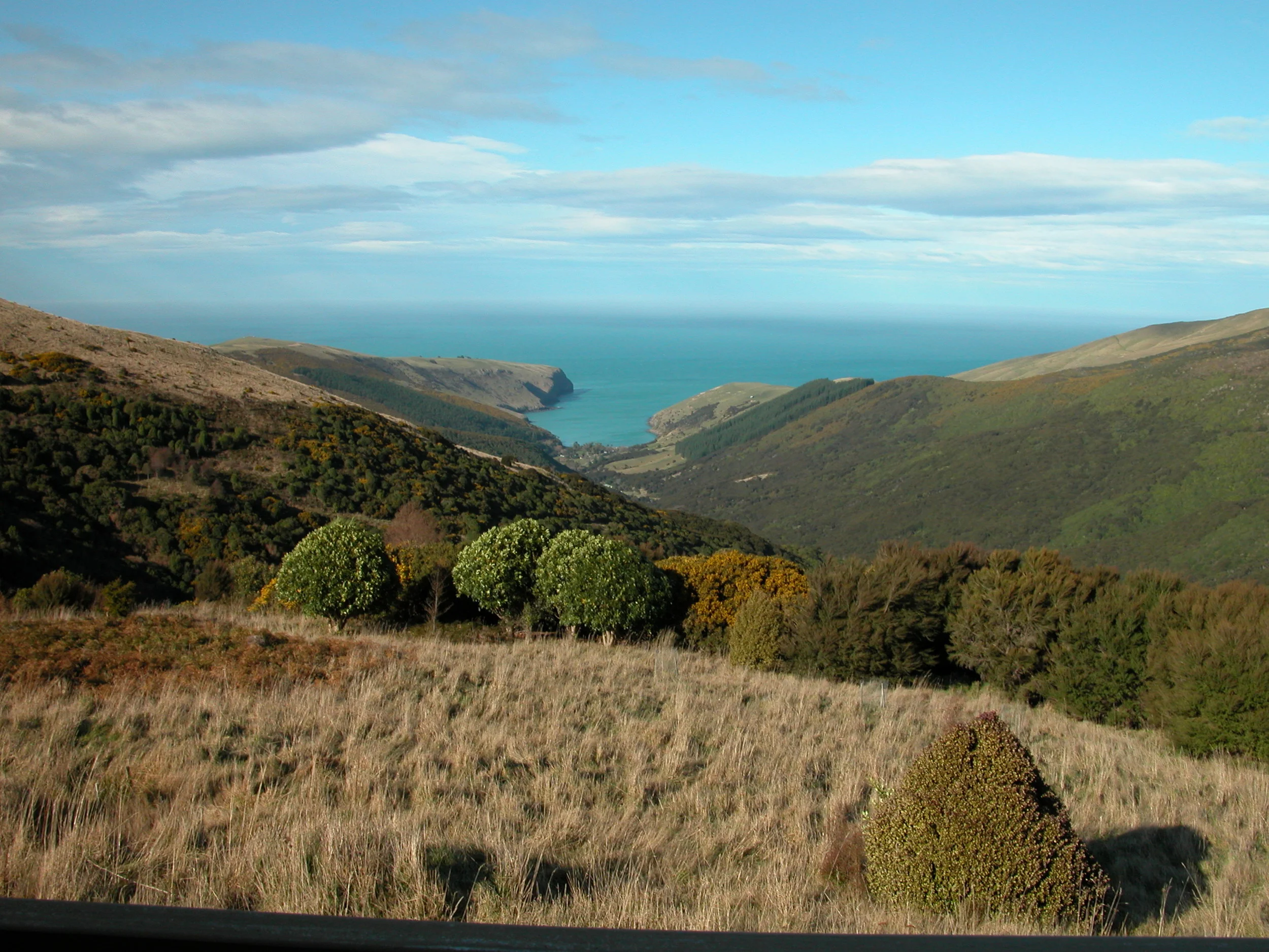 Trip Report: Bendigo, Design Spun and Hinewai