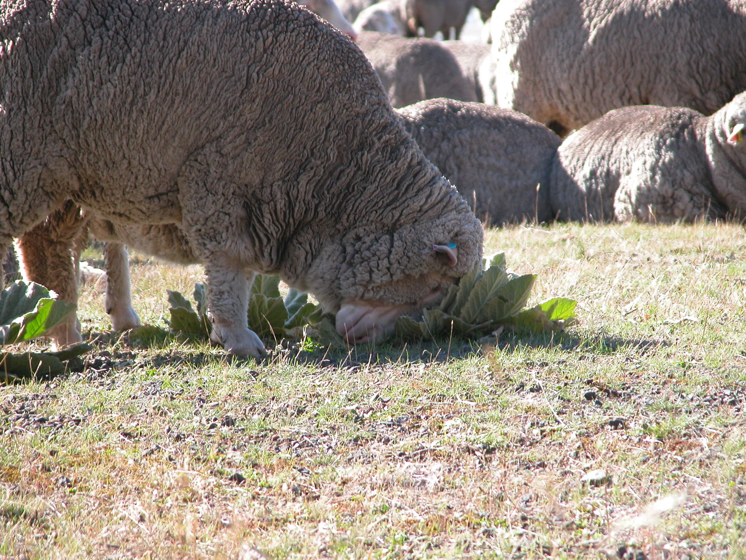 Six Impossible Things