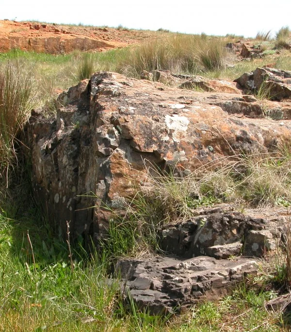 Quarrystone dolerite outcrop