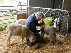 Ingrid Layton using Bowen moves on Elf, with help from Felix and Vicky