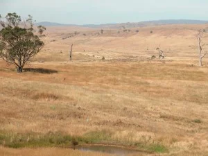 Fuel-filled back country earlier this month.