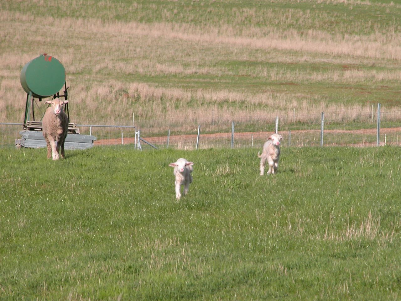 Oh, boy! Lunchtime!!