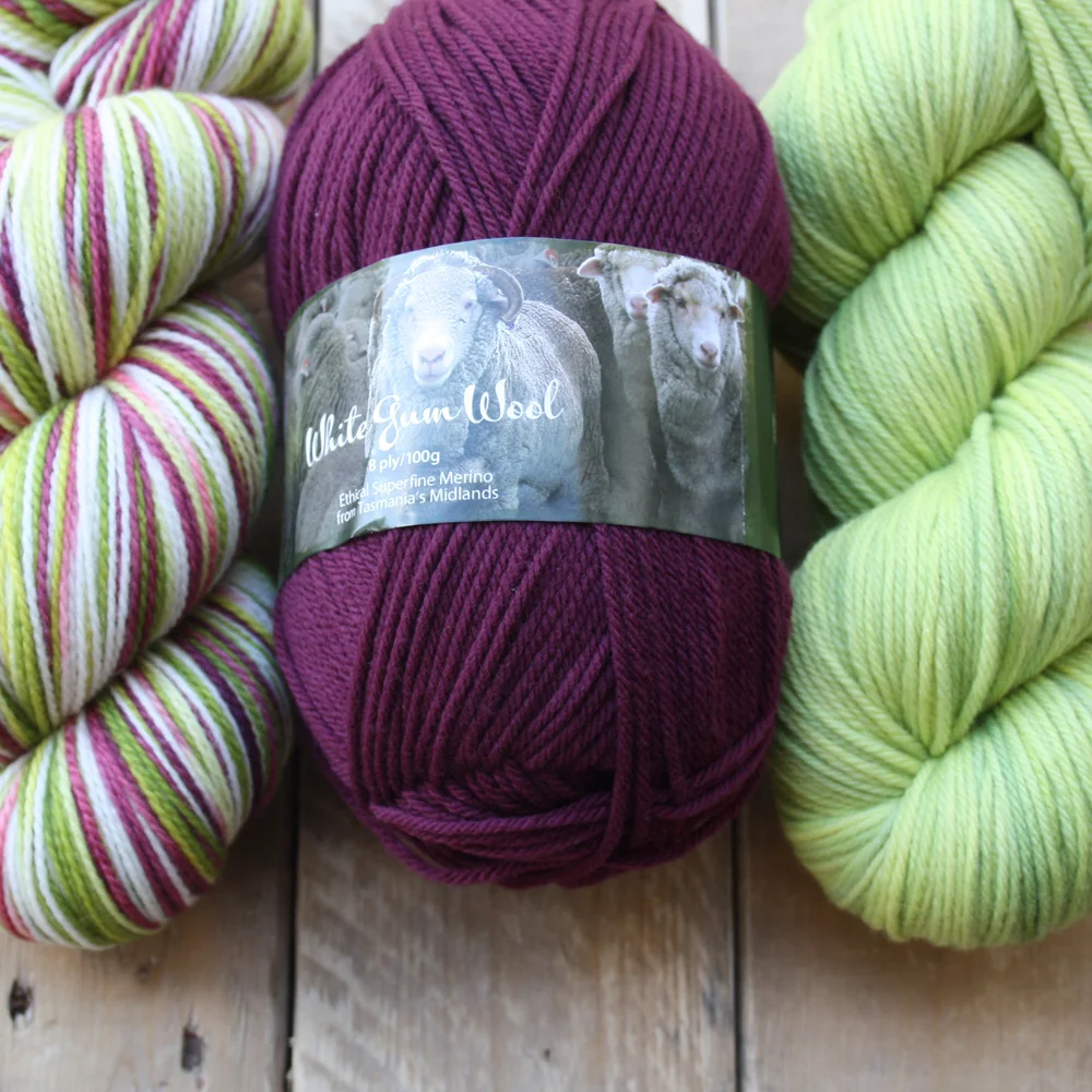 Spider orchid, flax lily and green tree frog