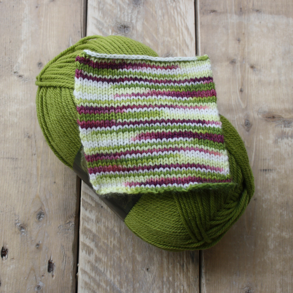 Spider orchid swatch with wild orchid