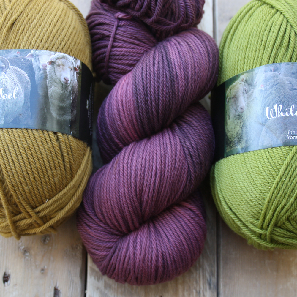 Summer rain with sedge and wild orchid