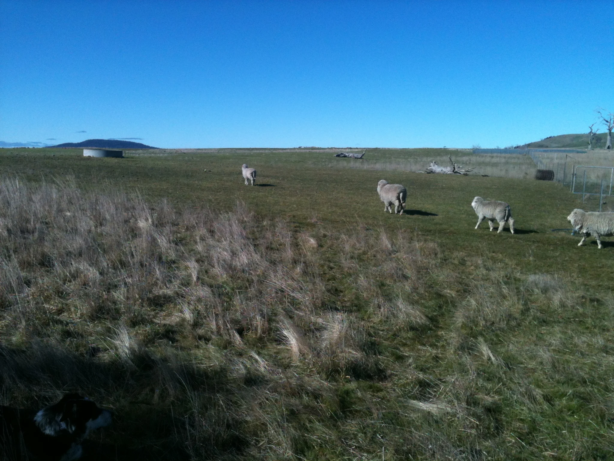 …her friends follow…