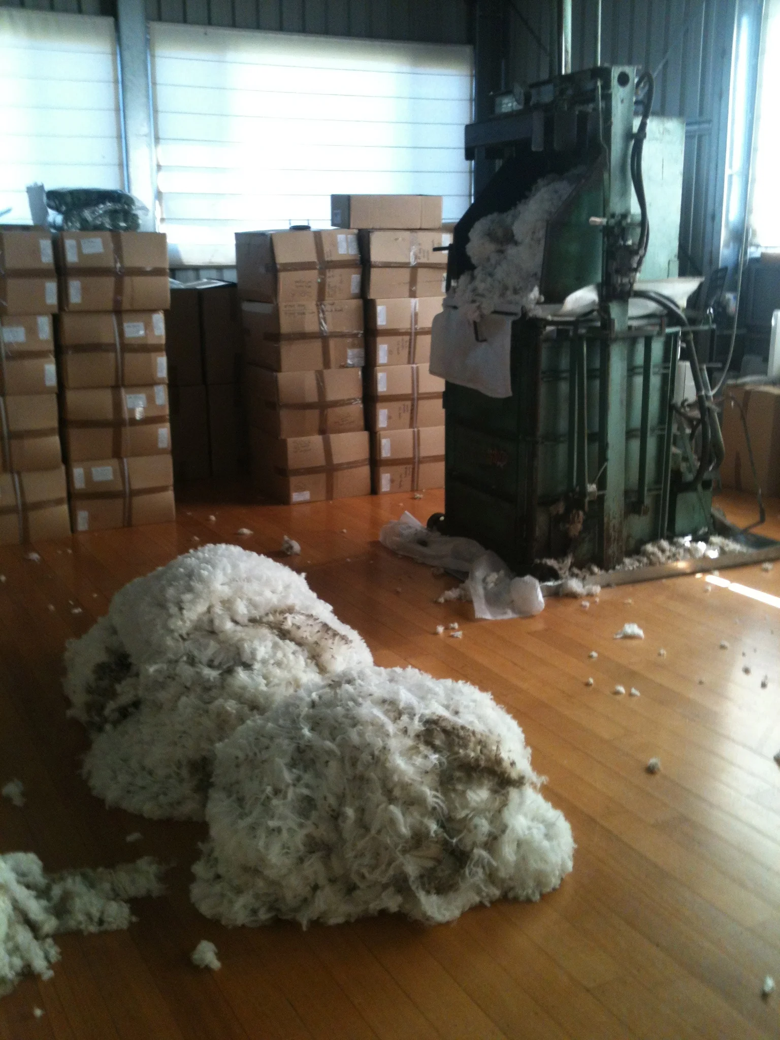 Ewe fleeces ready to go into the press, with boxes of yarn from last year’s clip in the background.