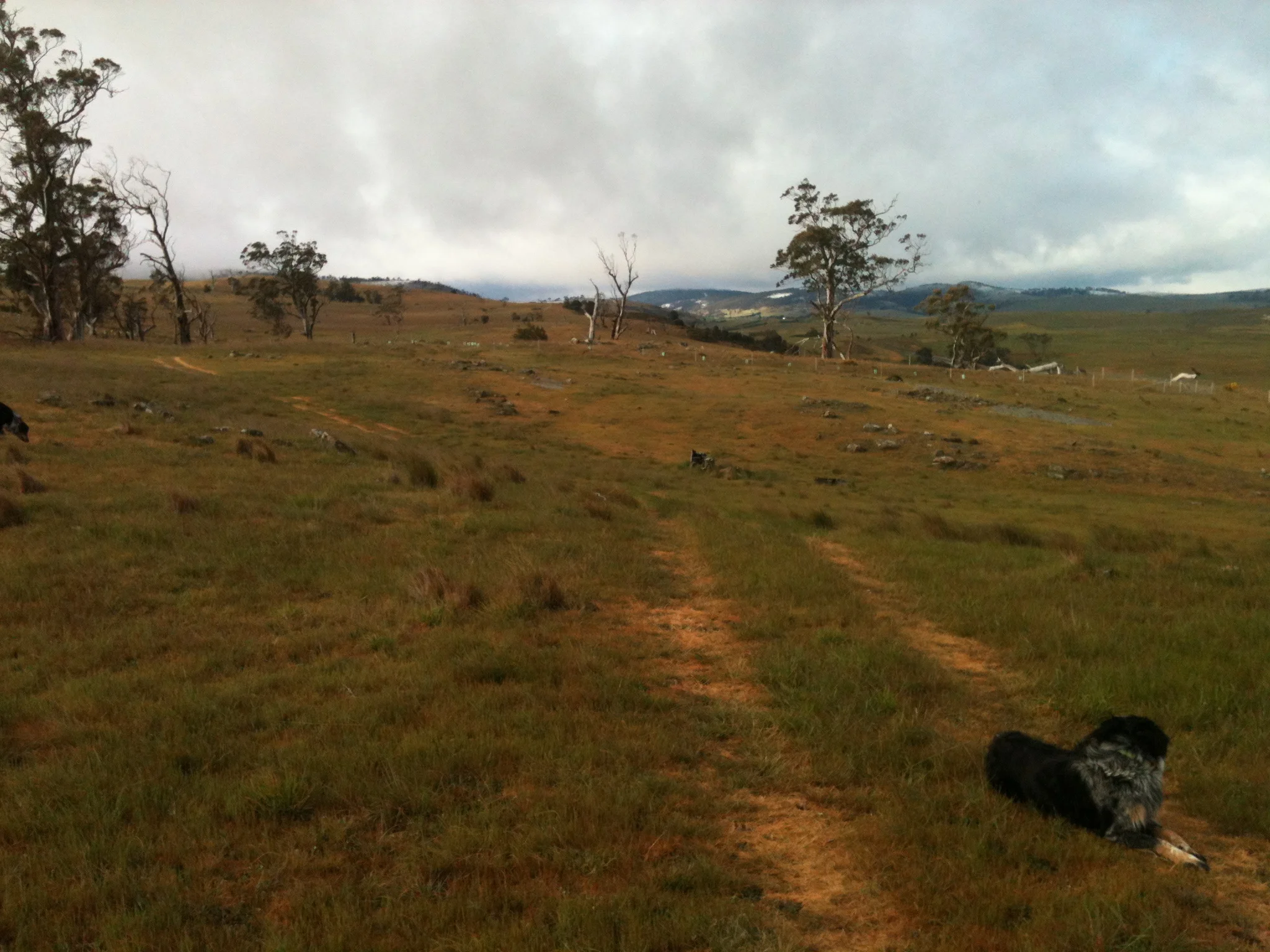 Snow on the hills: running the dogs early this morning–brrrrrr.