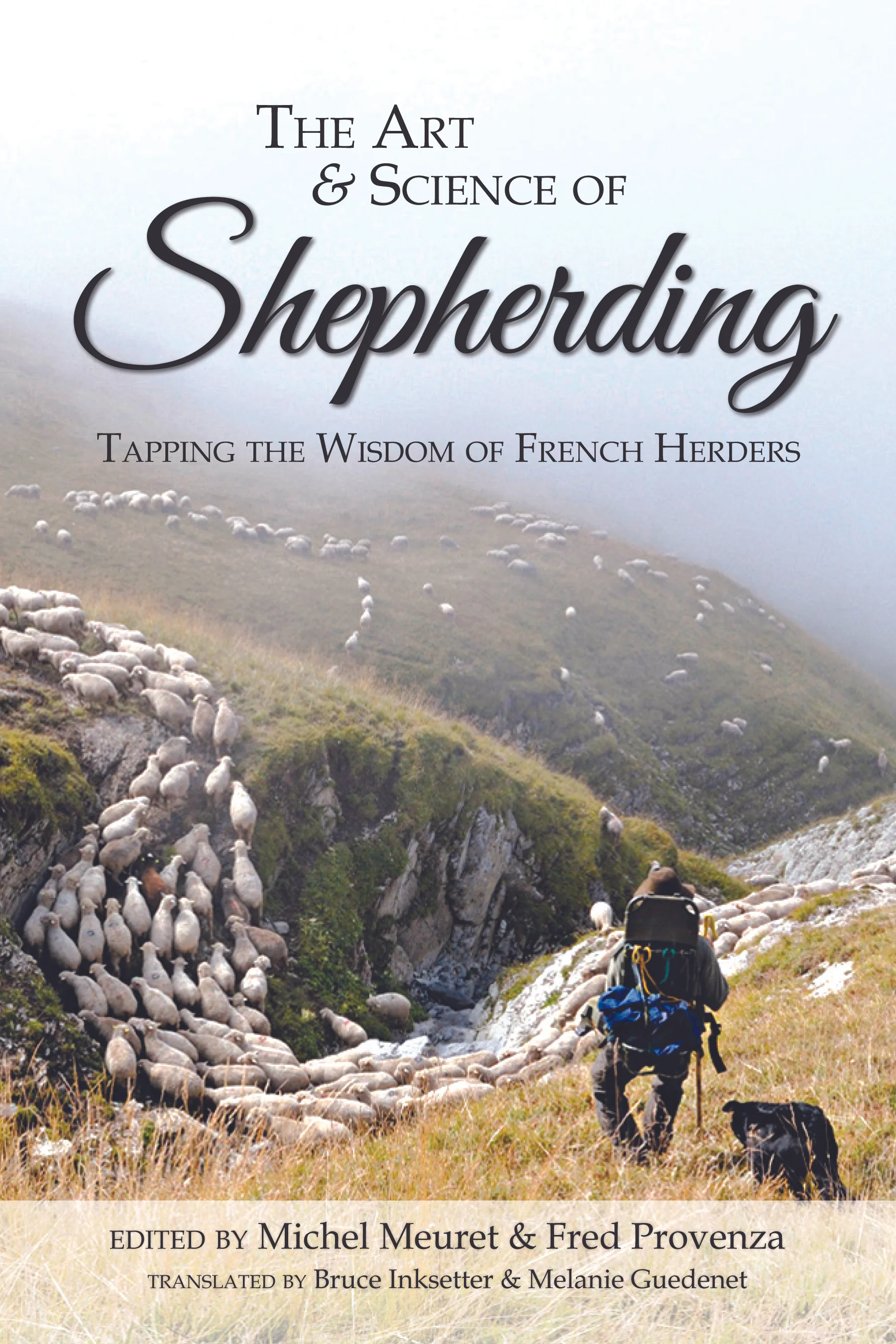 Michel and Fred’s book. It’s both a practical guide to the concepts of shepherding and also a valuable resource about the science of grazing.