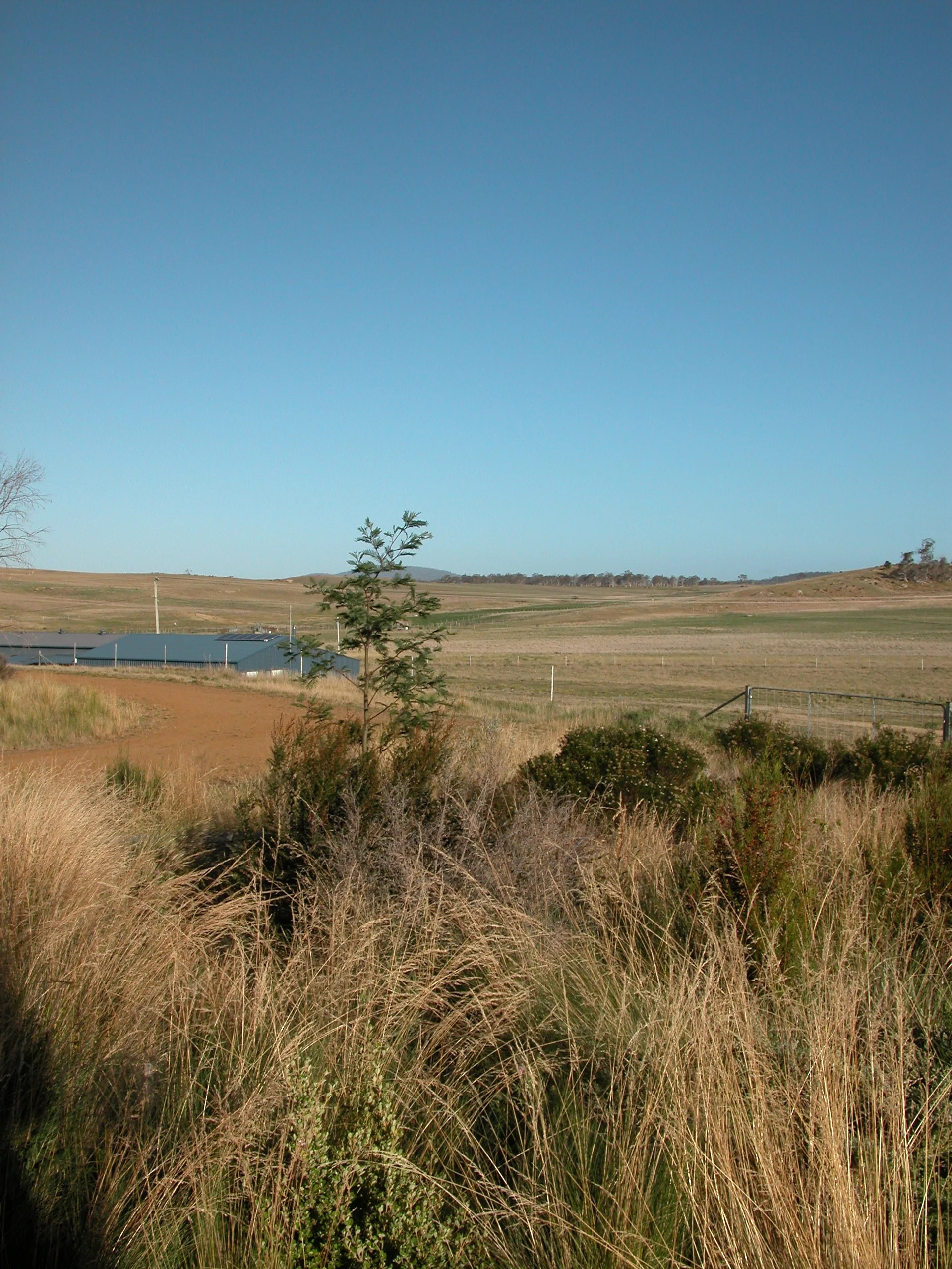 The same view a few days ago