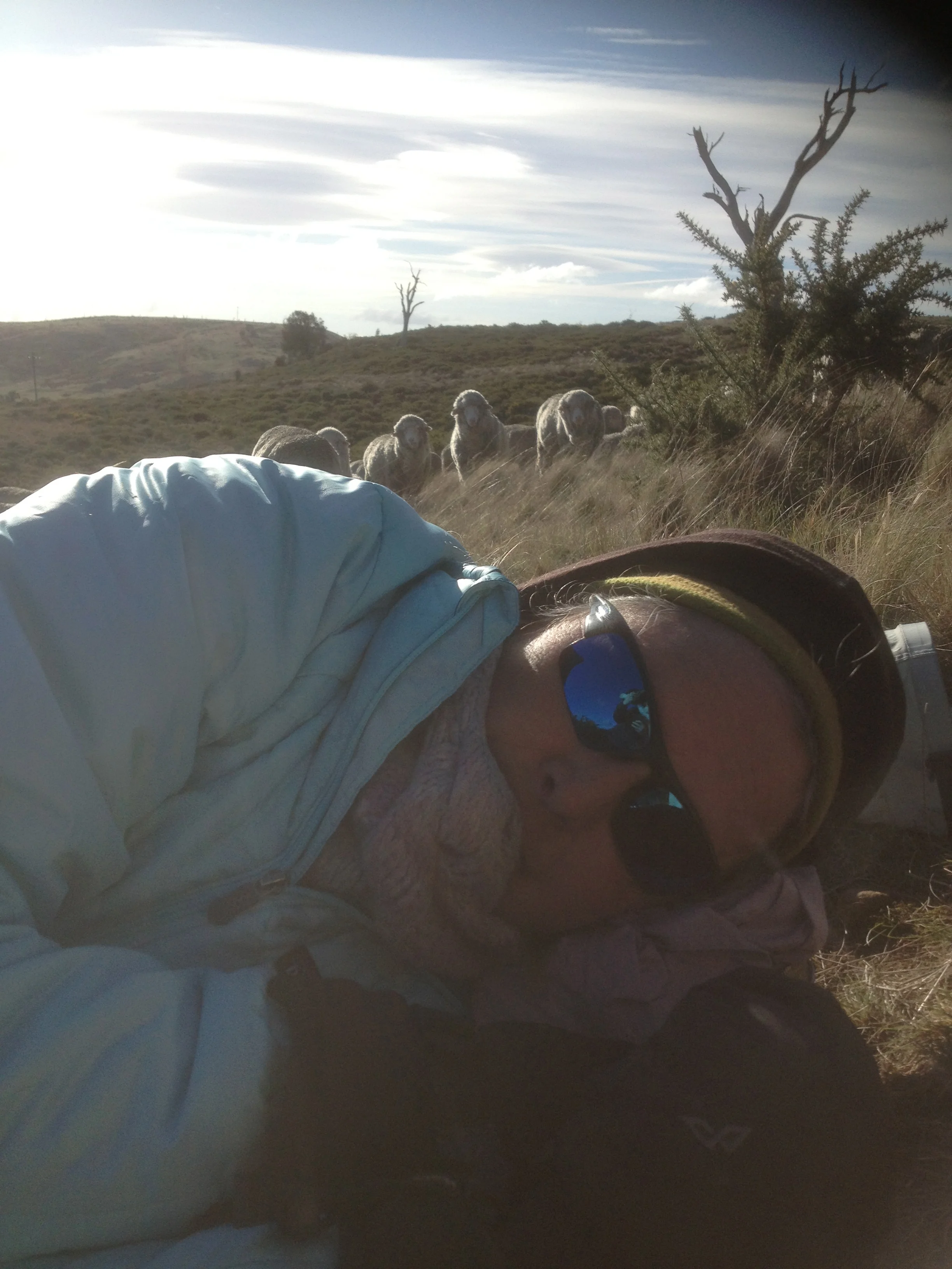 Me having mid-day rest, while the sheep are thinking of moving on. (another Lyn photo, taken without my permission :)