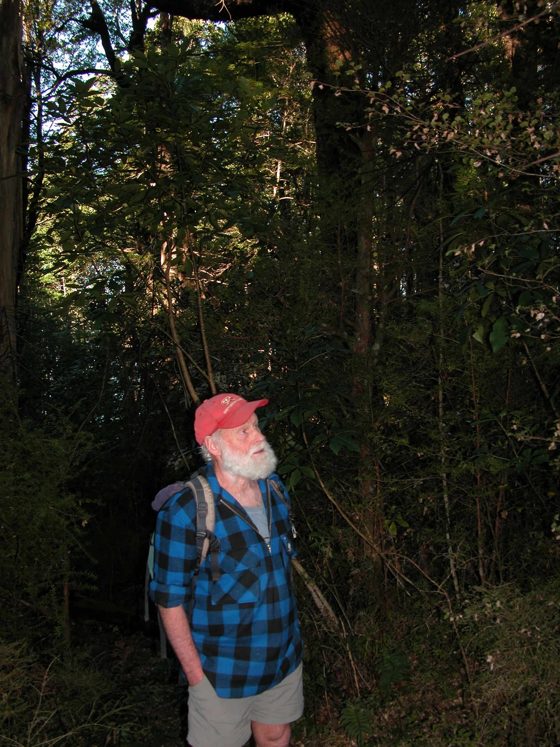 Hugh, wearing his standard uniform of shorts–despite the winter weather, and more worryingly, the gorse prickles.