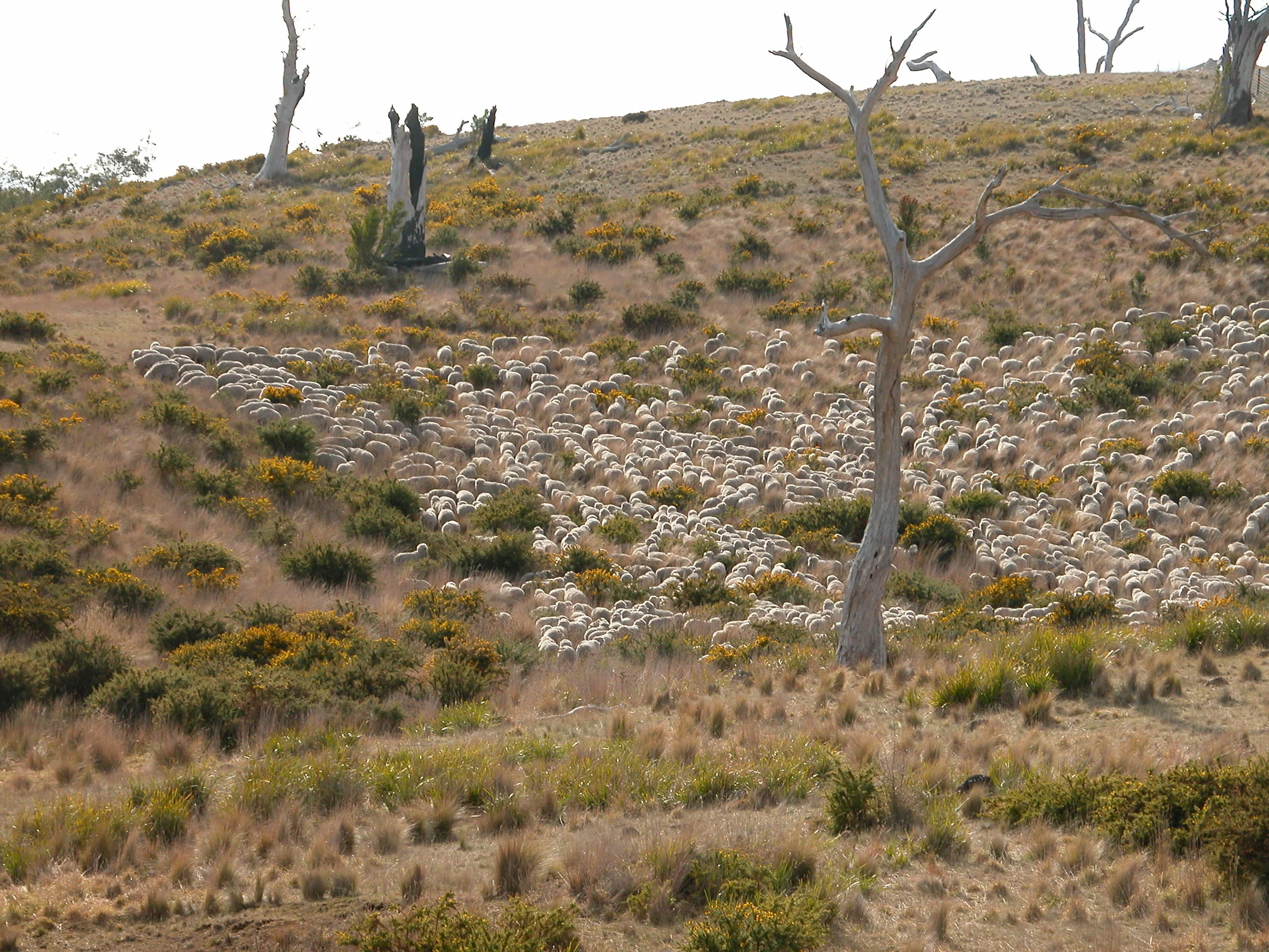 A few minutes later, as they make their way out of the gully and up the hill