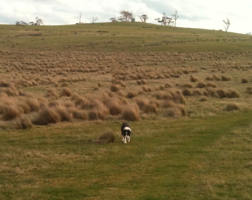Sis just a couple of days before she died, catching up with the rest of us at the top of the last hill. She always got a ride down the last km or so.