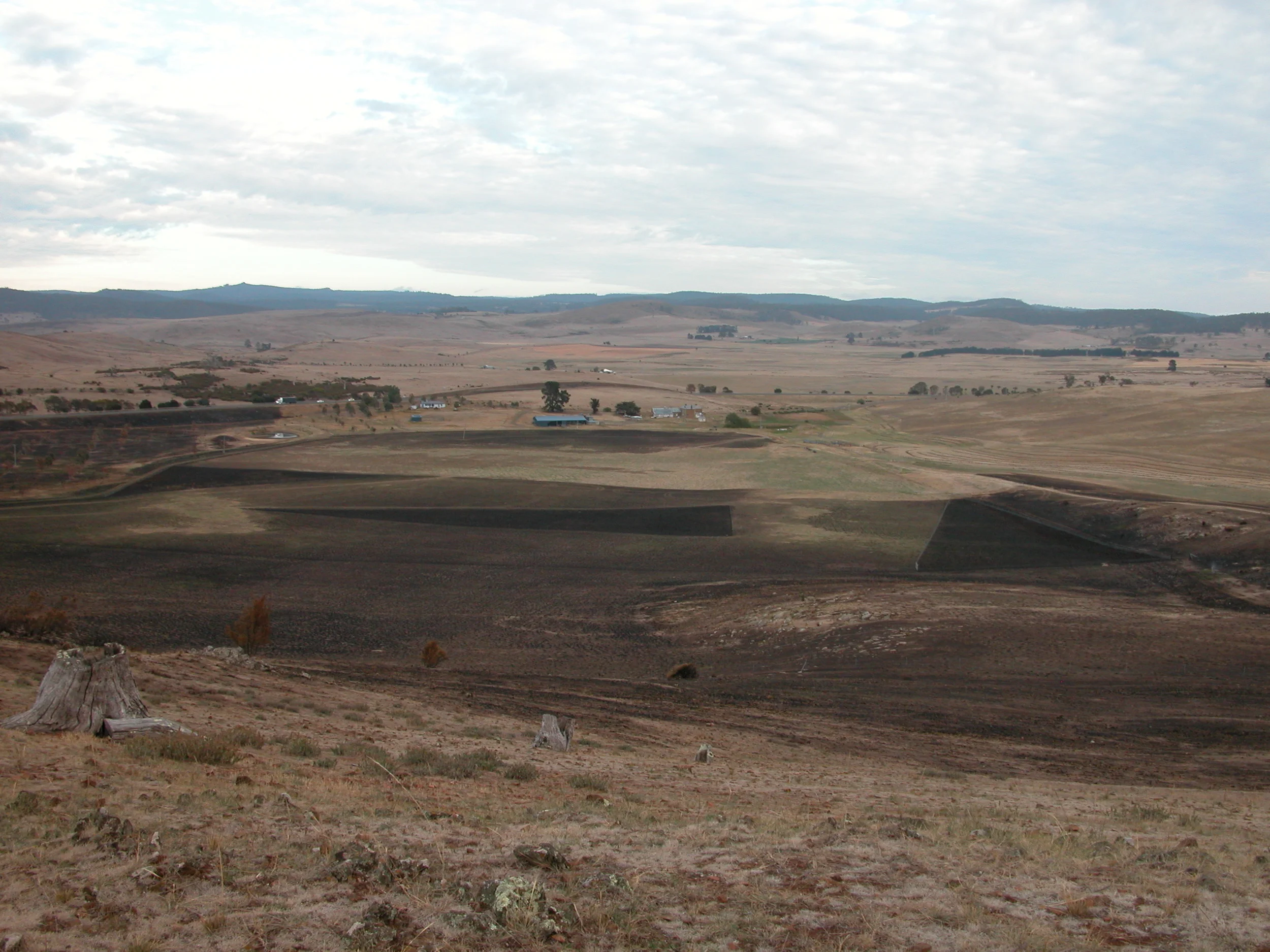 Looking down at the burn from the top of the hill. The three dark triangles are fenced-off revegetation sites, where about 500 young trees were planted nearly 3 years ago. Because the areas weren’t grazed, the grass was quite dense and long, and the burn was correspondingly hot and thorough. It will be months before I know if the little trees can regenerate from their roots, or whether I’ll be replanting.