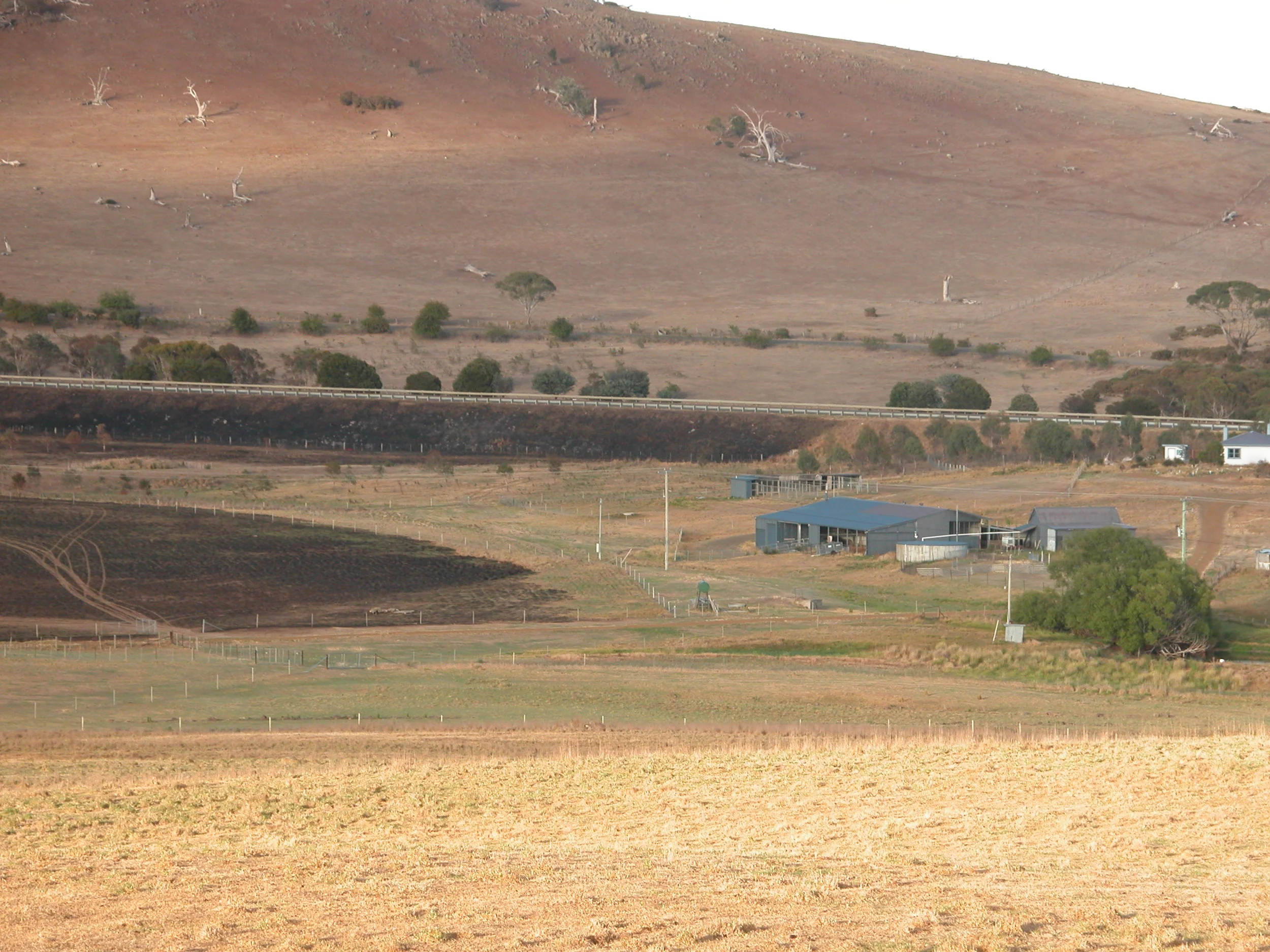 The fire started on the highway, and you can see how close it came to the house, kennels and woolshed.