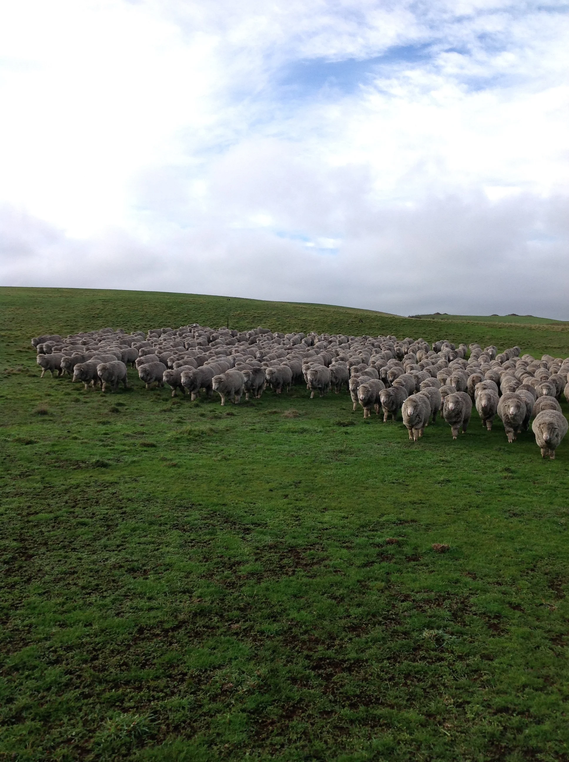 P1: Pickup. That's about the only bit of blue sky I saw the rest of the day, until the sun came out for about 5 minutes just before sunset.