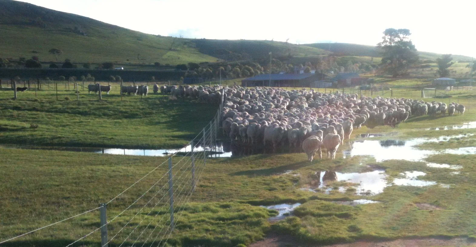 Albert sizing up the jump...