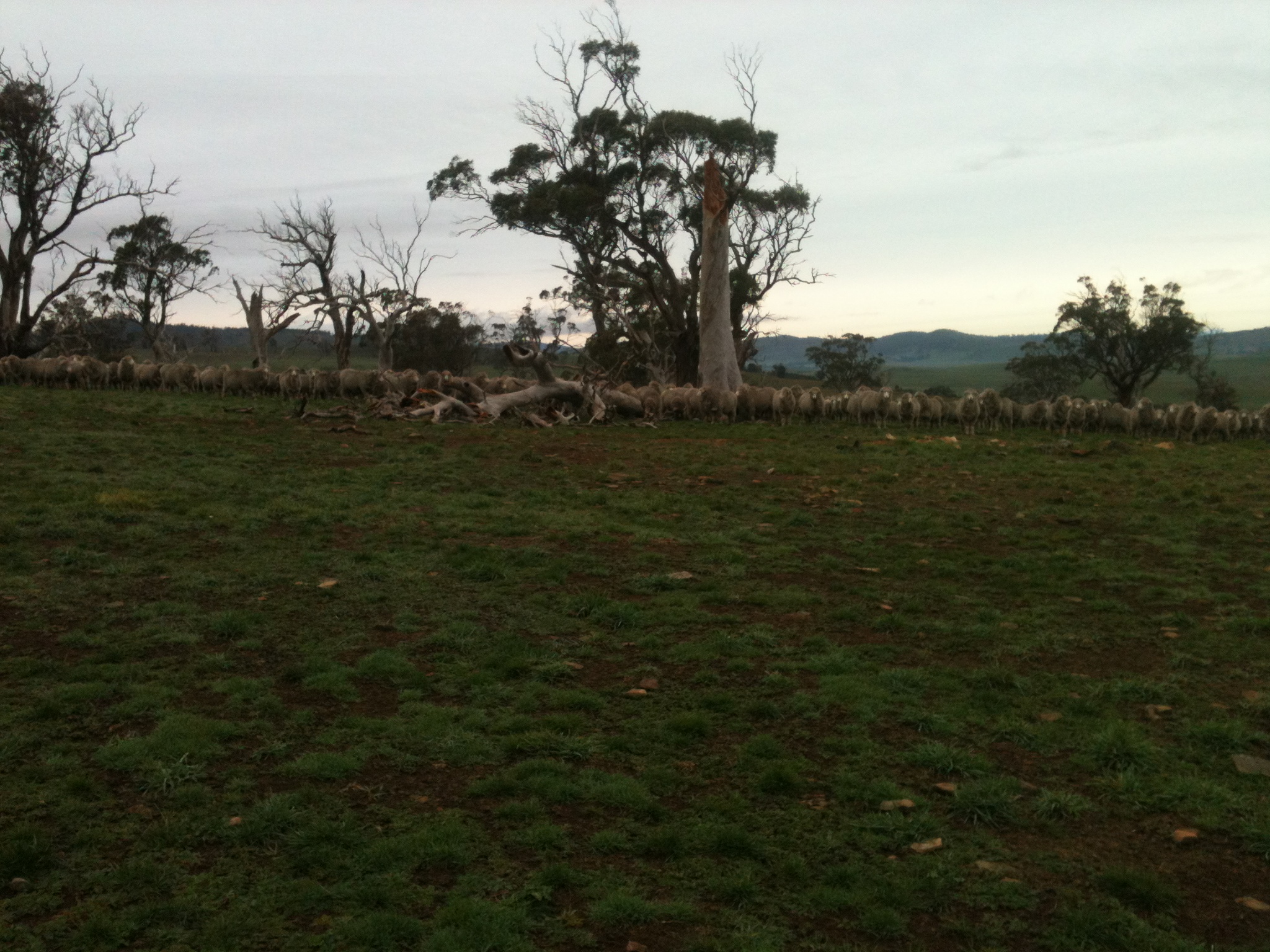 P1: Pickup at the top of the hill