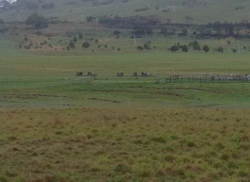 Looking toward the highway last Saturday....