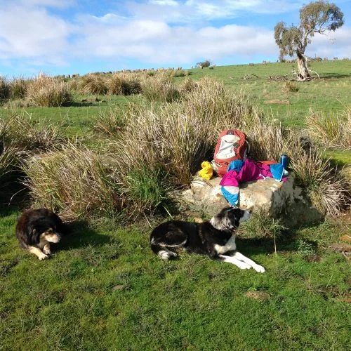 P5: Couldn't resist one last shot. It's so warm, two layers and my everlasting cowl had to be shed before having my tea! Too nice to go back inside.