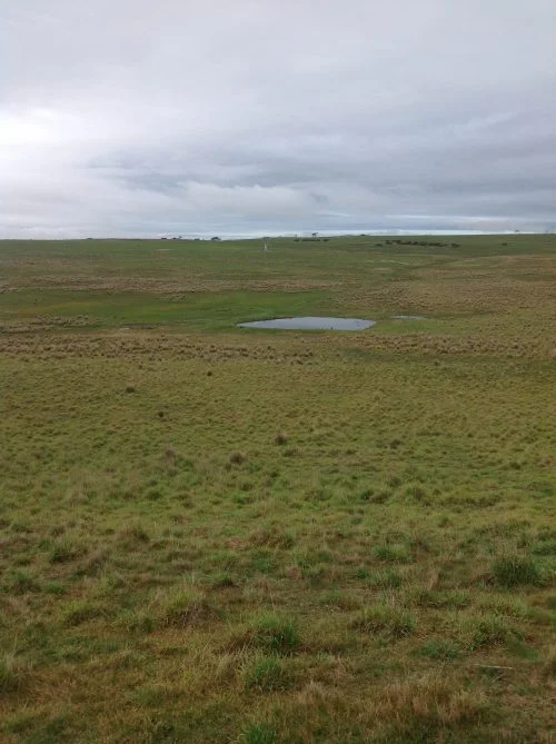 P1: A view of the Basin. The big water hole was completely dry in early May.