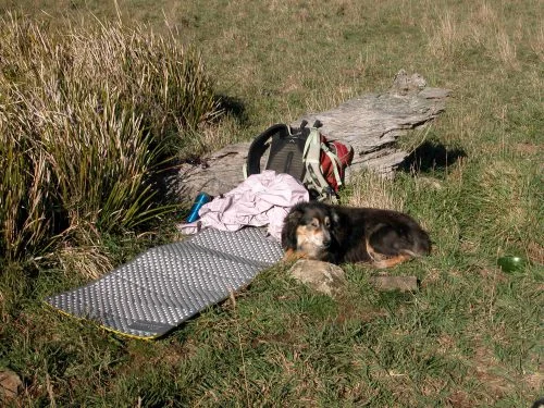P9: The lunchtime setup, with Janie looking adorably cute. The sags did a good job of keeping the wind at bay, and I did have a tiny little nap in the sun.