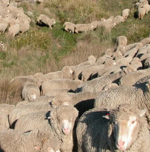 P10: Jumping the creek below the waterfall.