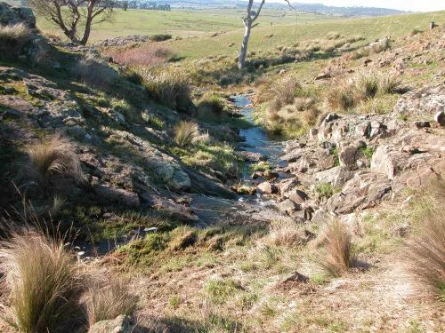 P11: The creek just above the waterfall.