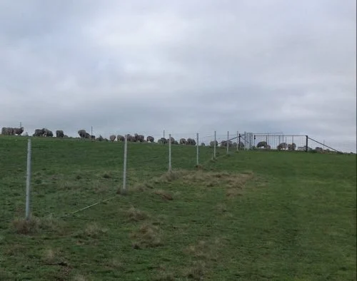 P1: The 3-way gate at the top of Waterfall Gully
