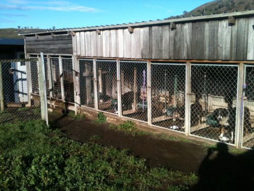 P4: Having breakfast.