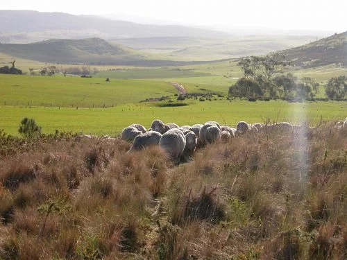 P3: Starting up Brian's track.