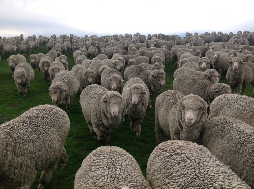 P2: Following me in the Polaris near the gate out of the Lucerne Reserve.