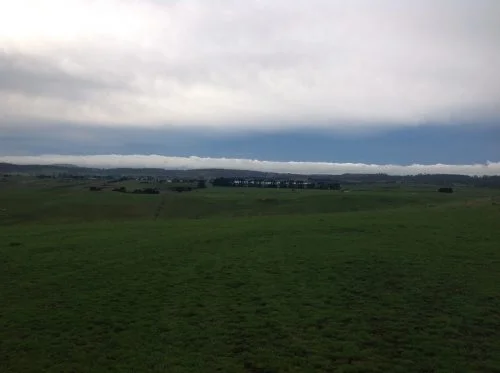 P4: The Red Rocks Jerry.