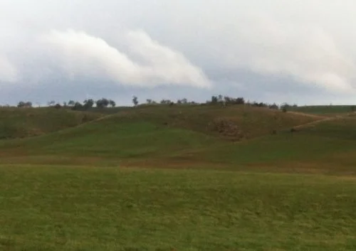 A view across the Lucerne Paddock to give you an idea of the topography of the sheltered area up top.