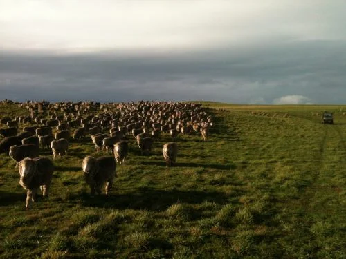 Heading toward Curly Sedge and the streamlet. They were going well until they saw this: