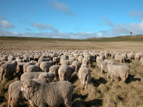 P5: Heading into the swamp. See? It does NOT look like a swamp from here, does it??