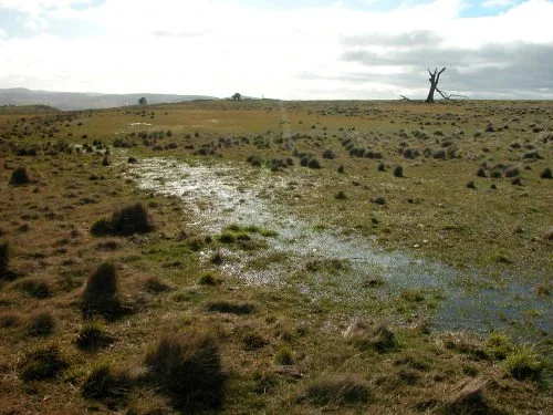 P6: But this is a sample of what it was like all the way around that corner!