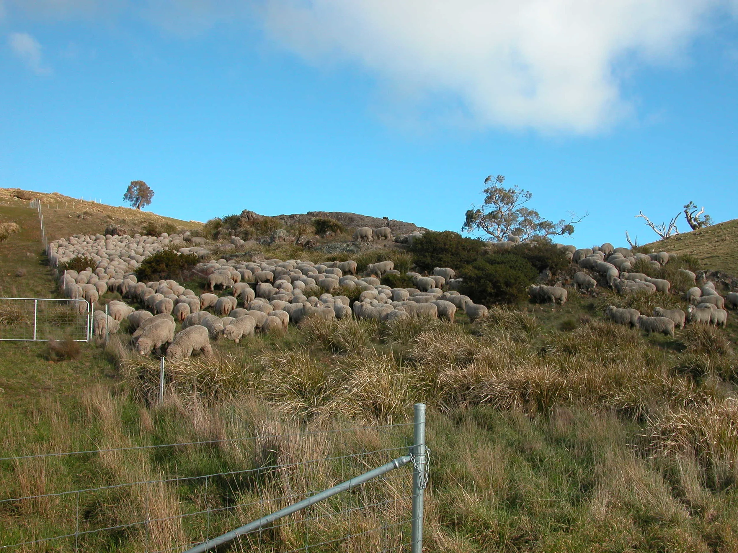 Old Cabin into Waterfall Gully-full day circuit