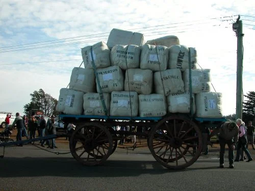 This 1850s vintage wool wagon was used to haul loads from the area around Hay (Victoria) to Port Pirie on the coast. Here it’s loaded with wool from local growers (including me–White Gum Wool at centre, top)
