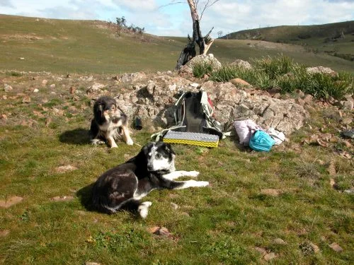 P1: Lunch spot, almost out of the wind…