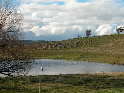 P9: Settling down for a well-deserved rest at about 3 pm.