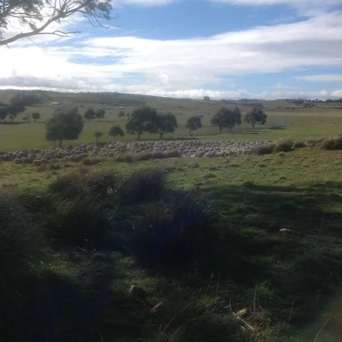 Our work for the morning is done. Heading home to do some chores ;-)