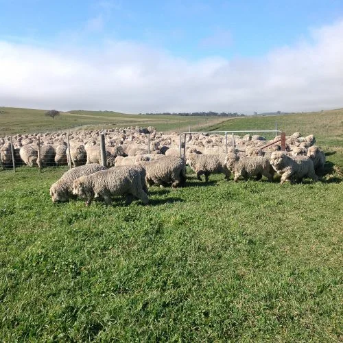 P2: Another tricky set of corners to navigate. Safely into the main yards. Phew!