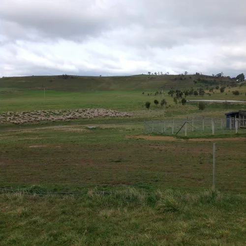 P5: End of the circuit. I’ll take them out of here later this afternoon.