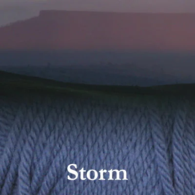 COLinsp_storm2.jpg